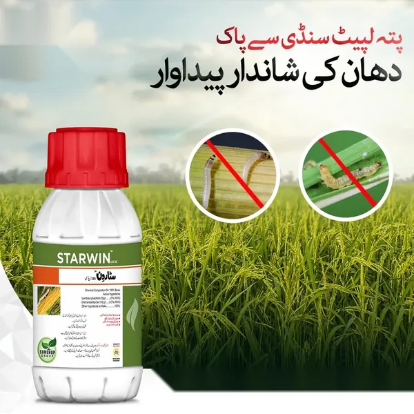 Starwin 165 ZC