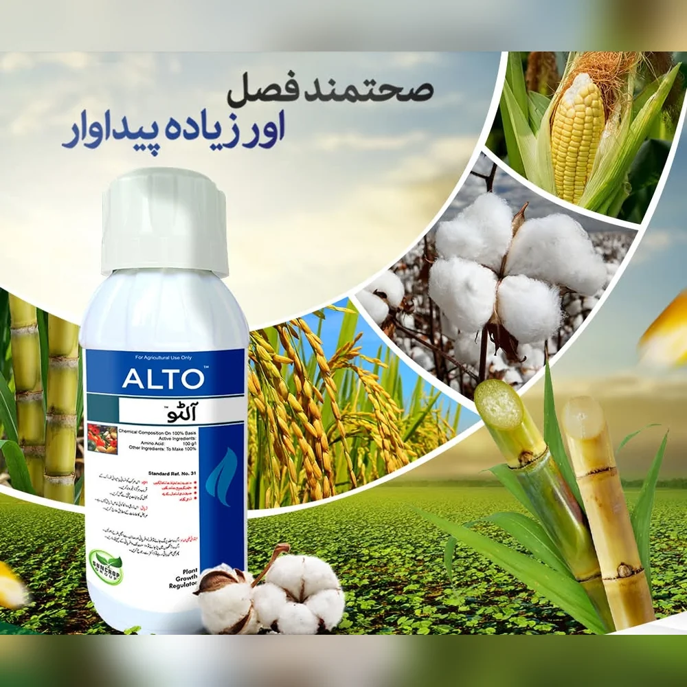 Alto — Suncrop