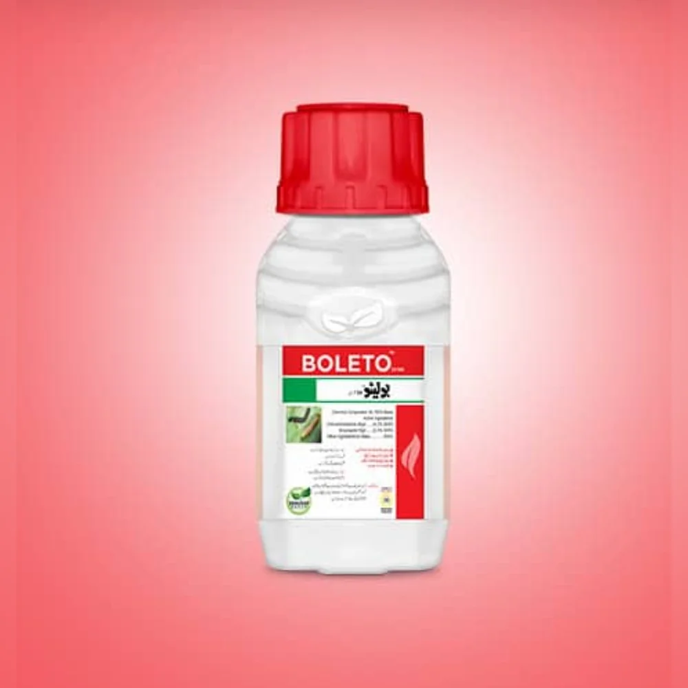 Boleto 59 ME — Suncrop